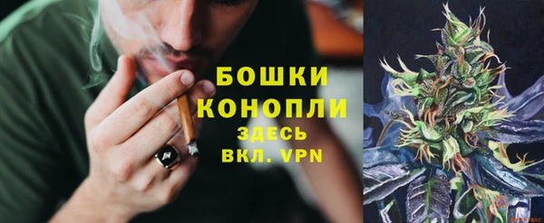 дмт Аркадак