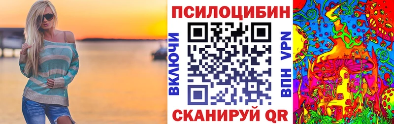 Галлюциногенные грибы Psilocybe  купить наркоту  Ртищево 